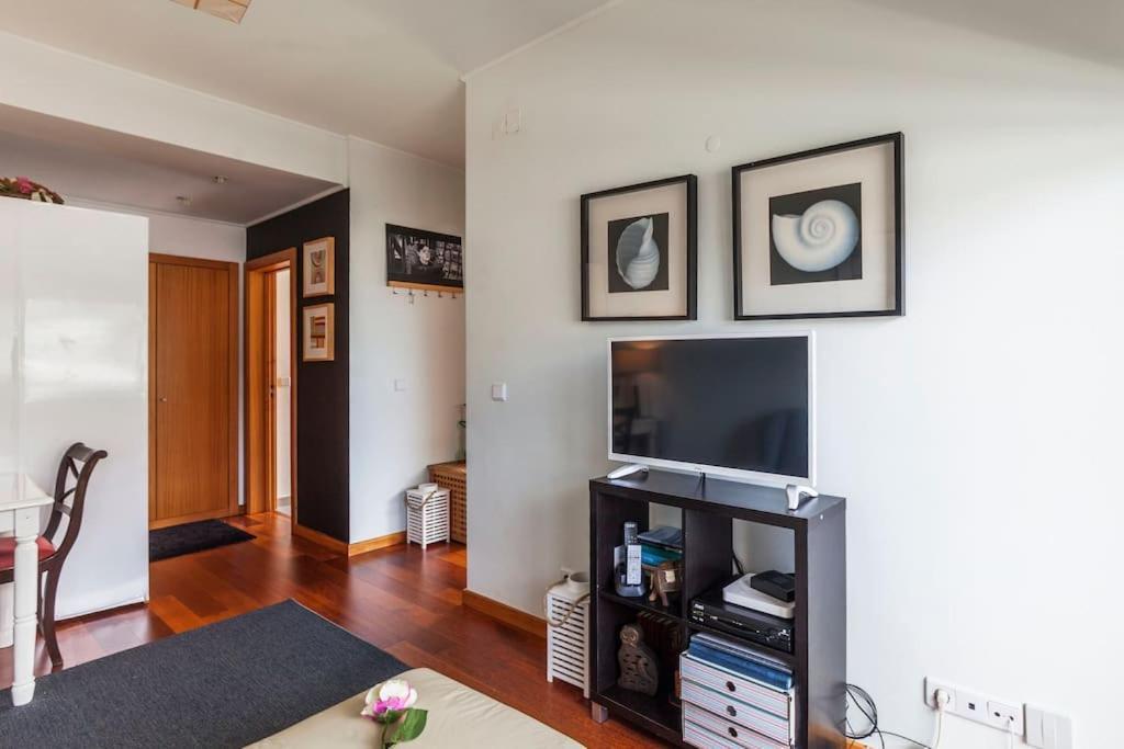 Penthouse City Center Apartment 蓬塔德尔加达 外观 照片